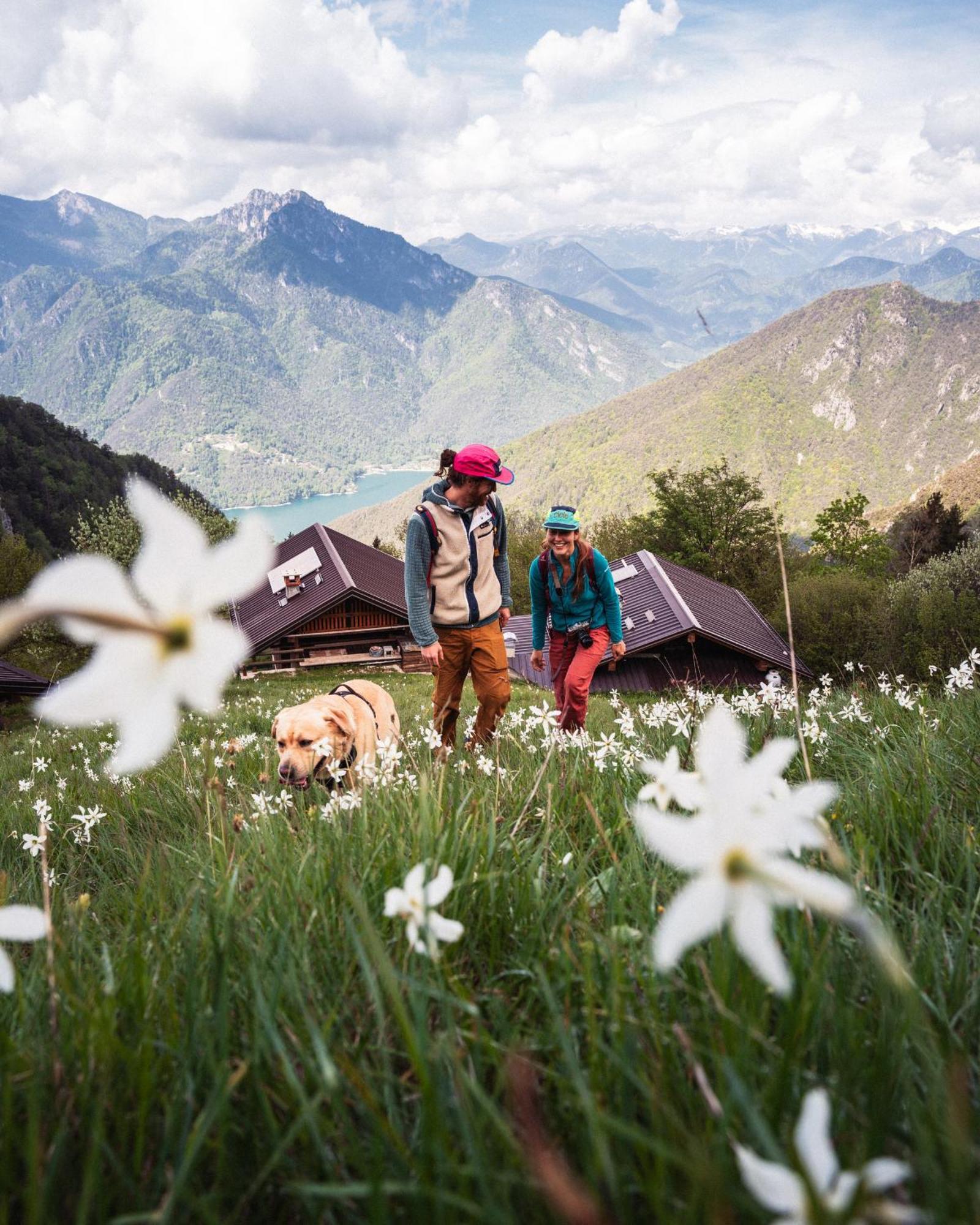 Family Wellness Camping Al Sole โมลินา ดิ เลโดร ภายนอก รูปภาพ